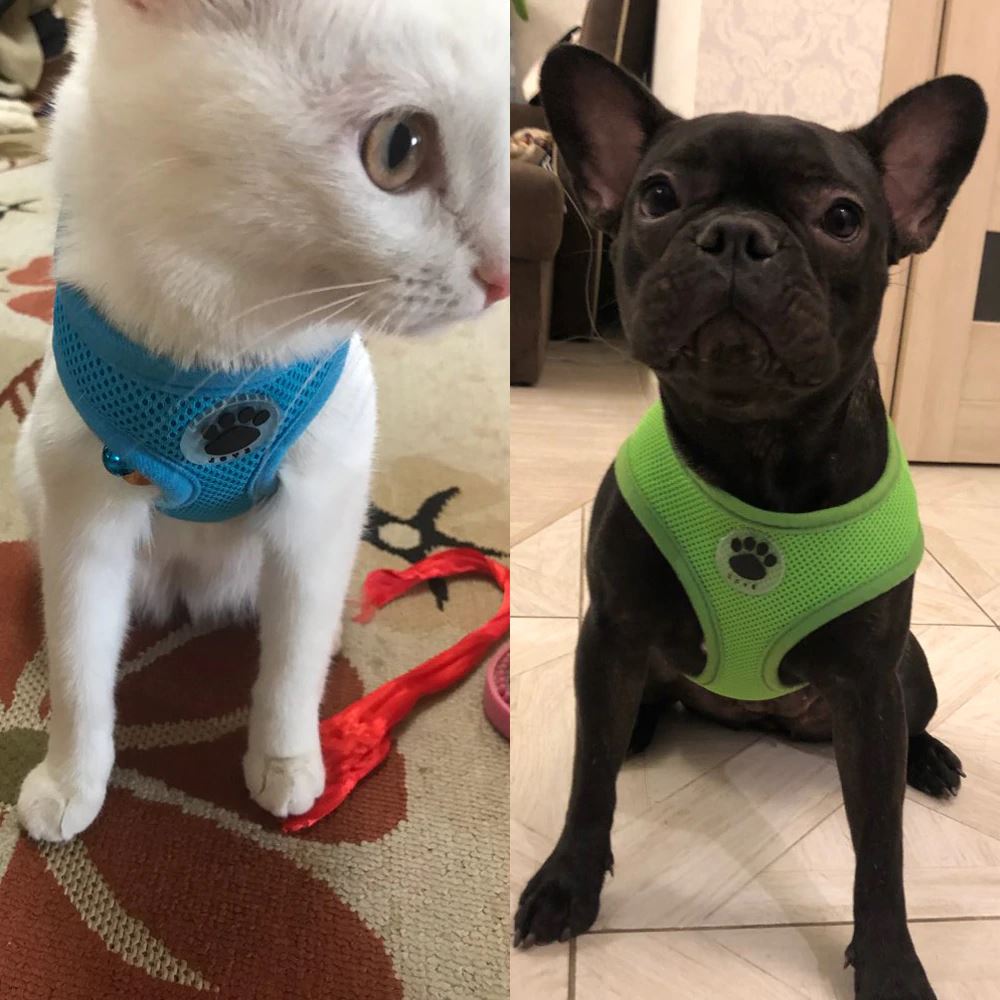 PETLAVISH™ Cute Paw Small Dog Harness: Soft, Breathable, Adjustable Vest XS-L Dog Harness PETLAVISH™