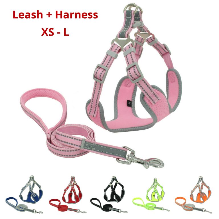 PETLAVISH™ Reflective No-Pull Dog Harness+Leash: Adjustable, Soft, Breathable Control Vest XS-Large Dog Harness PETLAVISH™ Pink XS 