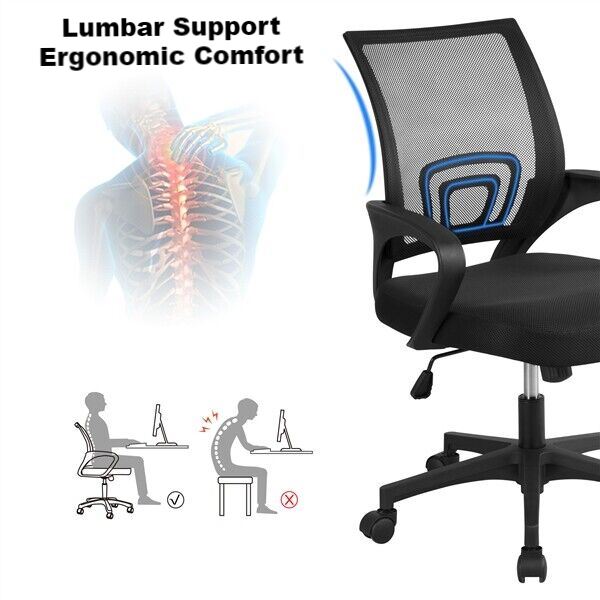 FlexVybe™ Executive Mesh Office Chair: Lumbar Support, Swivel, Adjustable Computer Chair FlexVybe™ 