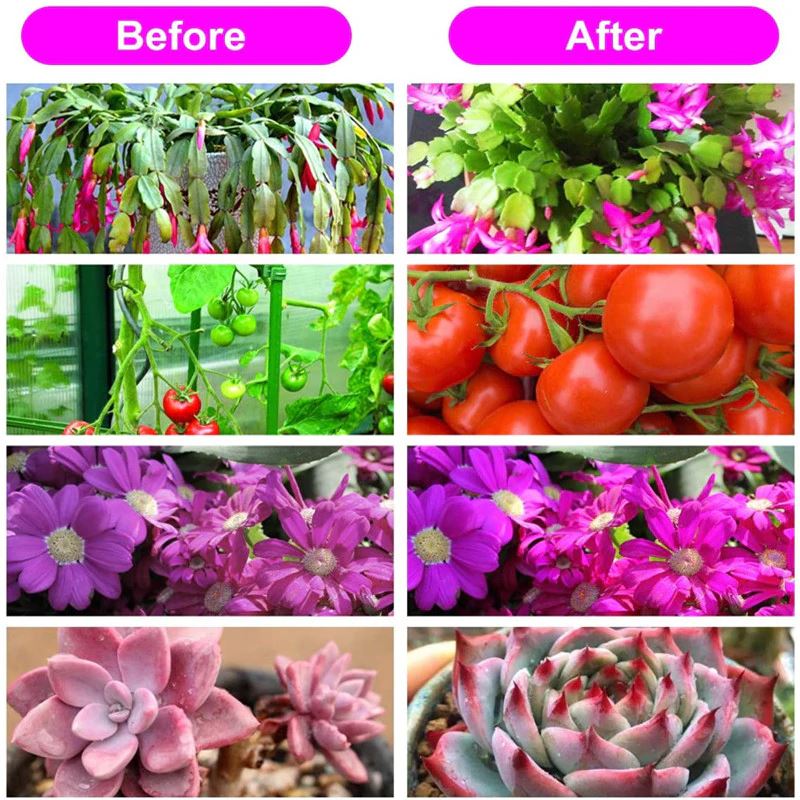 LED Grow Light LED Grow Lights LED Grow Light 