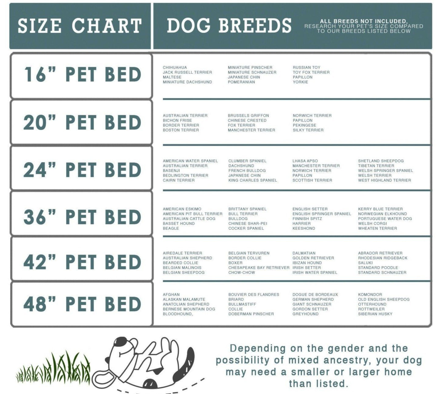 PETLAVISH™ 48" Ultrasoft Dog/Cat Breathable Bed: XXXL Cozy Fleece Cushion Mat Kennel Pet Bed PETLAVISH™ Fashion 