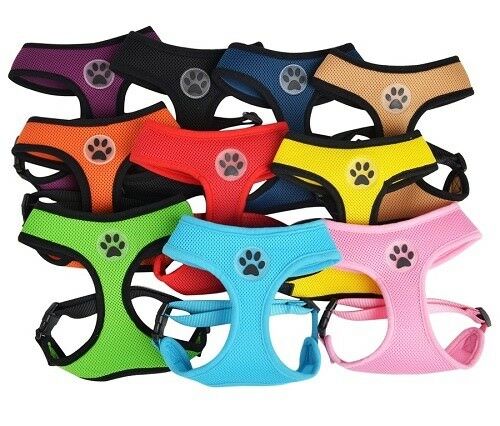 PETLAVISH™ Cute Paw Small Dog Harness: Soft, Breathable, Adjustable Vest XS-L Dog Harness PETLAVISH™ 