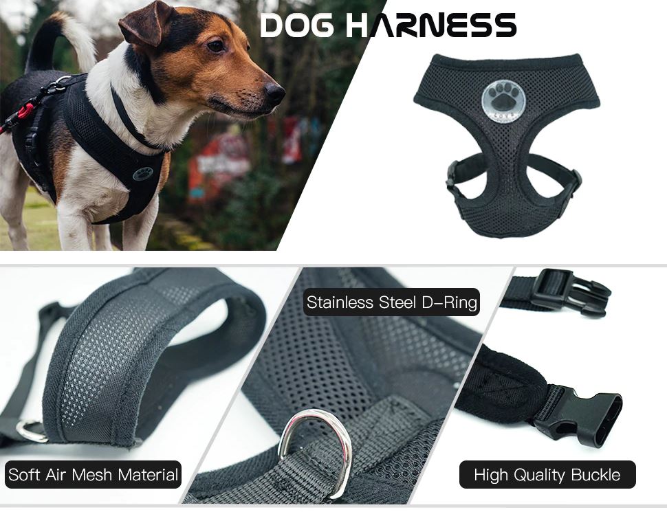 PETLAVISH™ Cute Paw Small Dog Harness: Soft, Breathable, Adjustable Vest XS-L Dog Harness PETLAVISH™ 