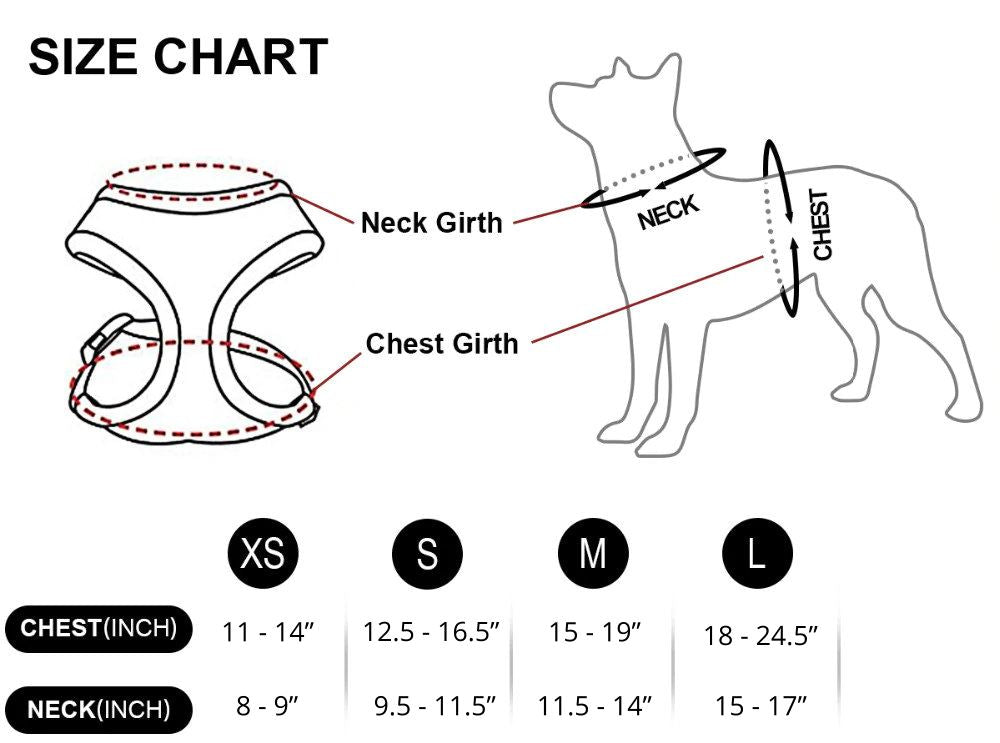 PETLAVISH™ Cute Paw Small Dog Harness: Soft, Breathable, Adjustable Vest XS-L Dog Harness PETLAVISH™ 