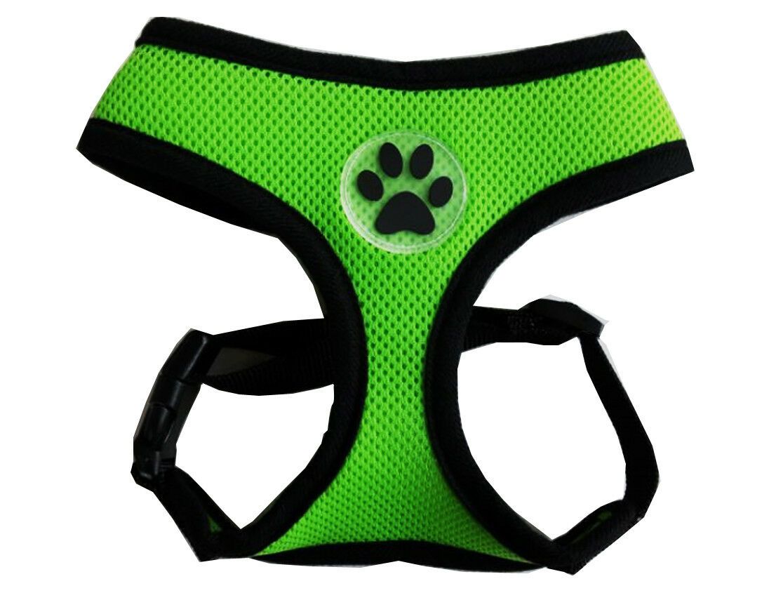 PETLAVISH™ Cute Paw Small Dog Harness: Soft, Breathable, Adjustable Vest XS-L Dog Harness PETLAVISH™ X-Small 11-14" Chest Green 