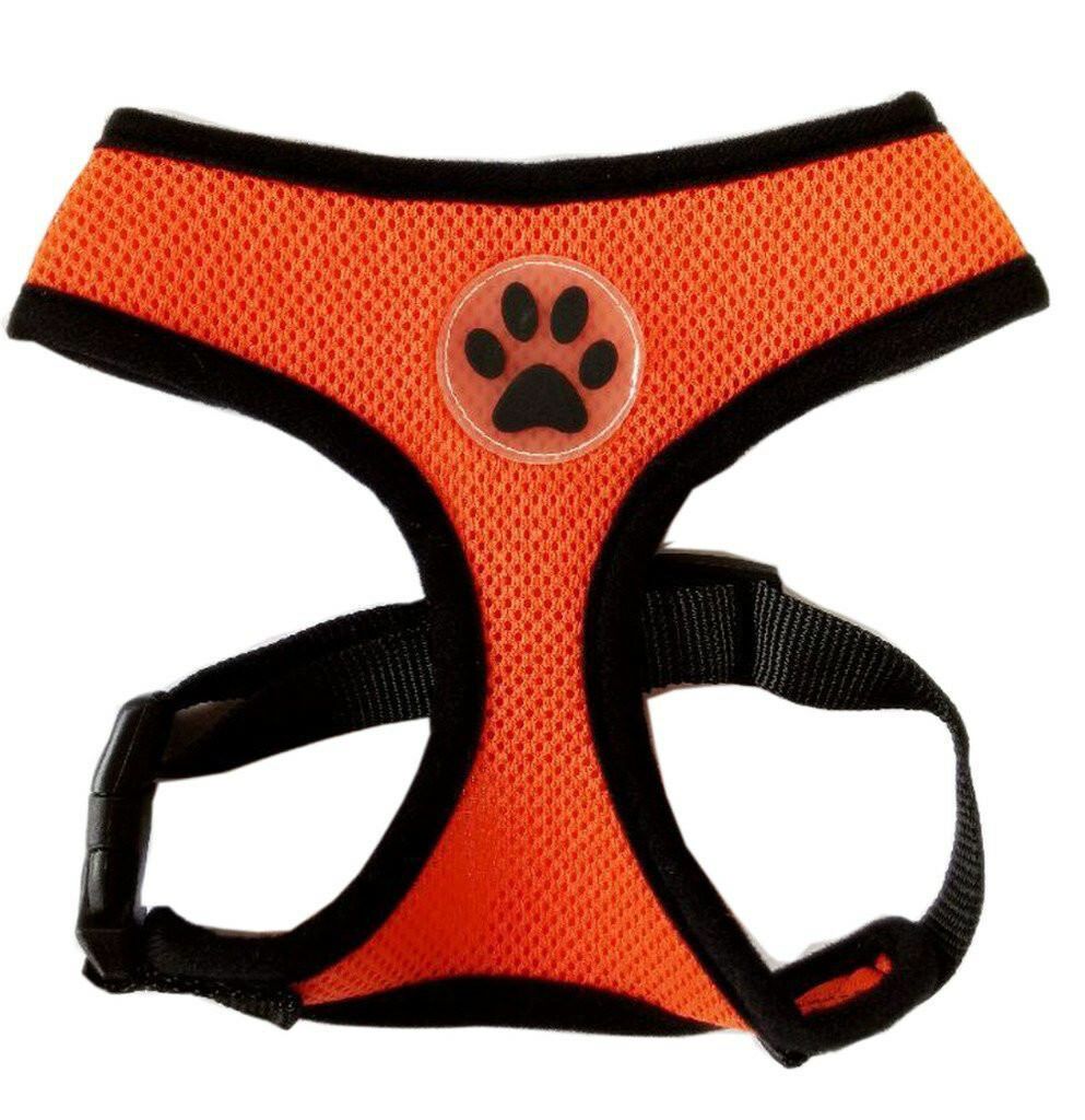 PETLAVISH™ Cute Paw Small Dog Harness: Soft, Breathable, Adjustable Vest XS-L Dog Harness PETLAVISH™ X-Small 11-14" Chest Orange 