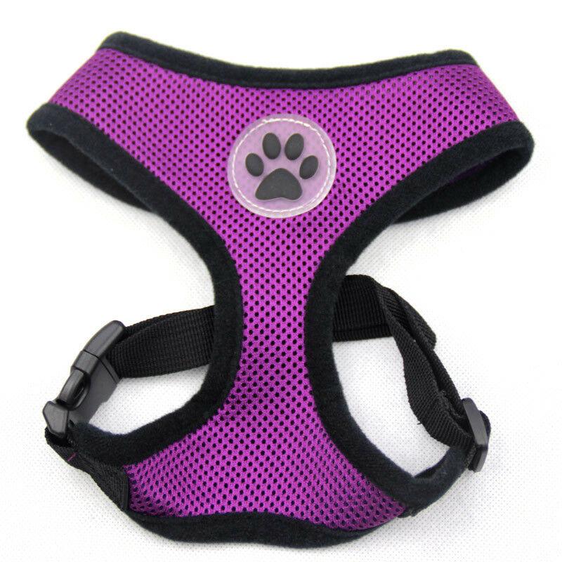 PETLAVISH™ Cute Paw Small Dog Harness: Soft, Breathable, Adjustable Vest XS-L Dog Harness PETLAVISH™ X-Small 11-14" Chest Purple 