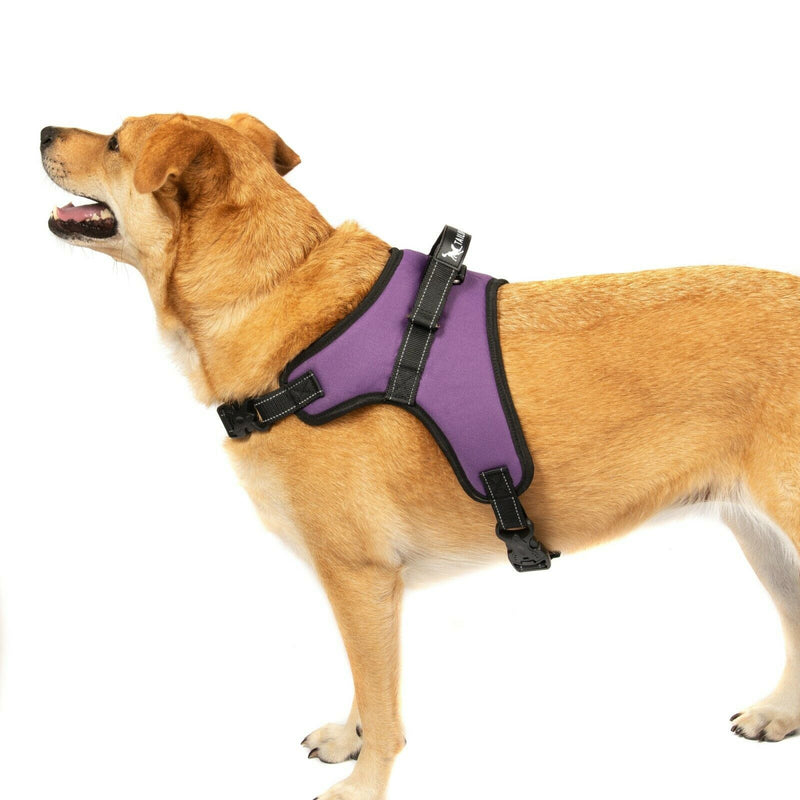 No pull dog outlet vest