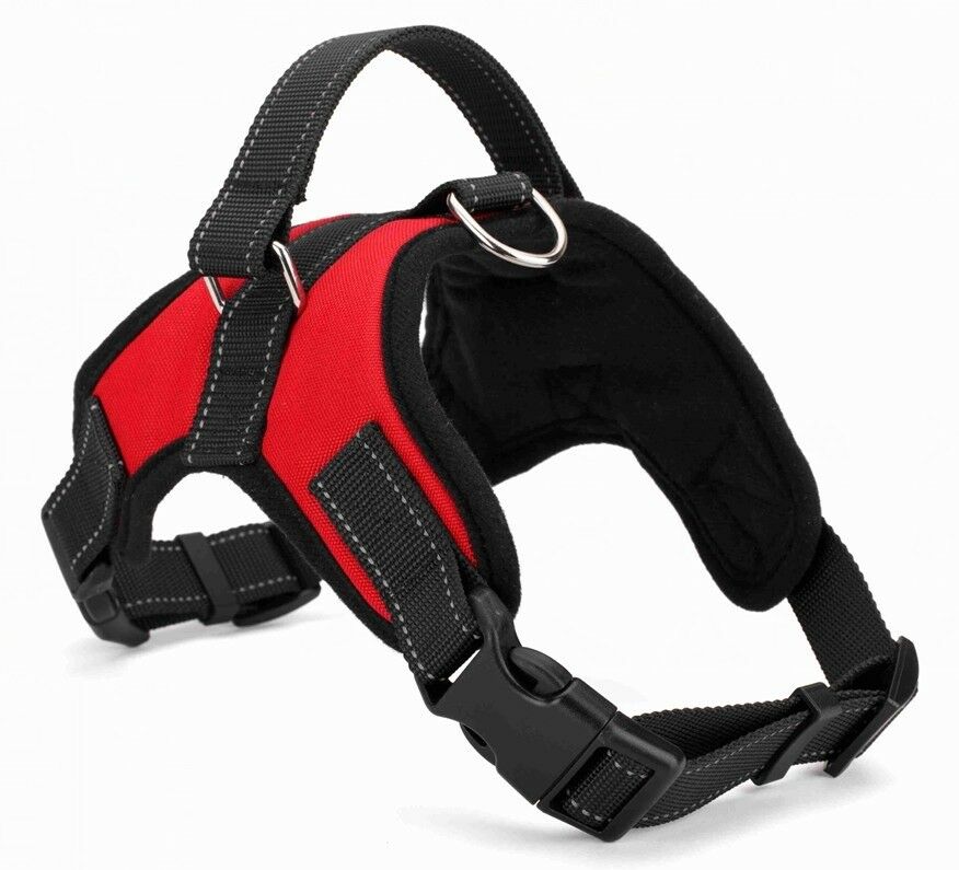 PETLAVISH™ No-Pull Dog Harness: Adjustable, Soft, Breathable Safe Control Vest S-XXL Dog Harness PETLAVISH™ Red XS 