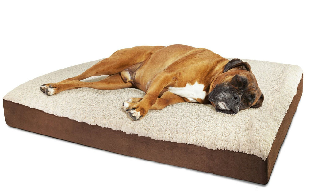 PETLAVISH™ XL Orthopedic Memory Foam Dog/Cat Bed - Soft Calming