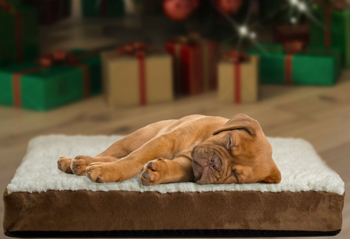 PETLAVISH™ XL Orthopedic Memory Foam Dog/Cat Bed - Soft Calming Lounger Mat Pet Bed PETLAVISH™ Fashion 