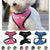 PETLAVISH™ Personalized Embroidery Small Dog Harness: Custom Font, Soft, Breathable No-Choke Vest Dog Harness PETLAVISH™ 