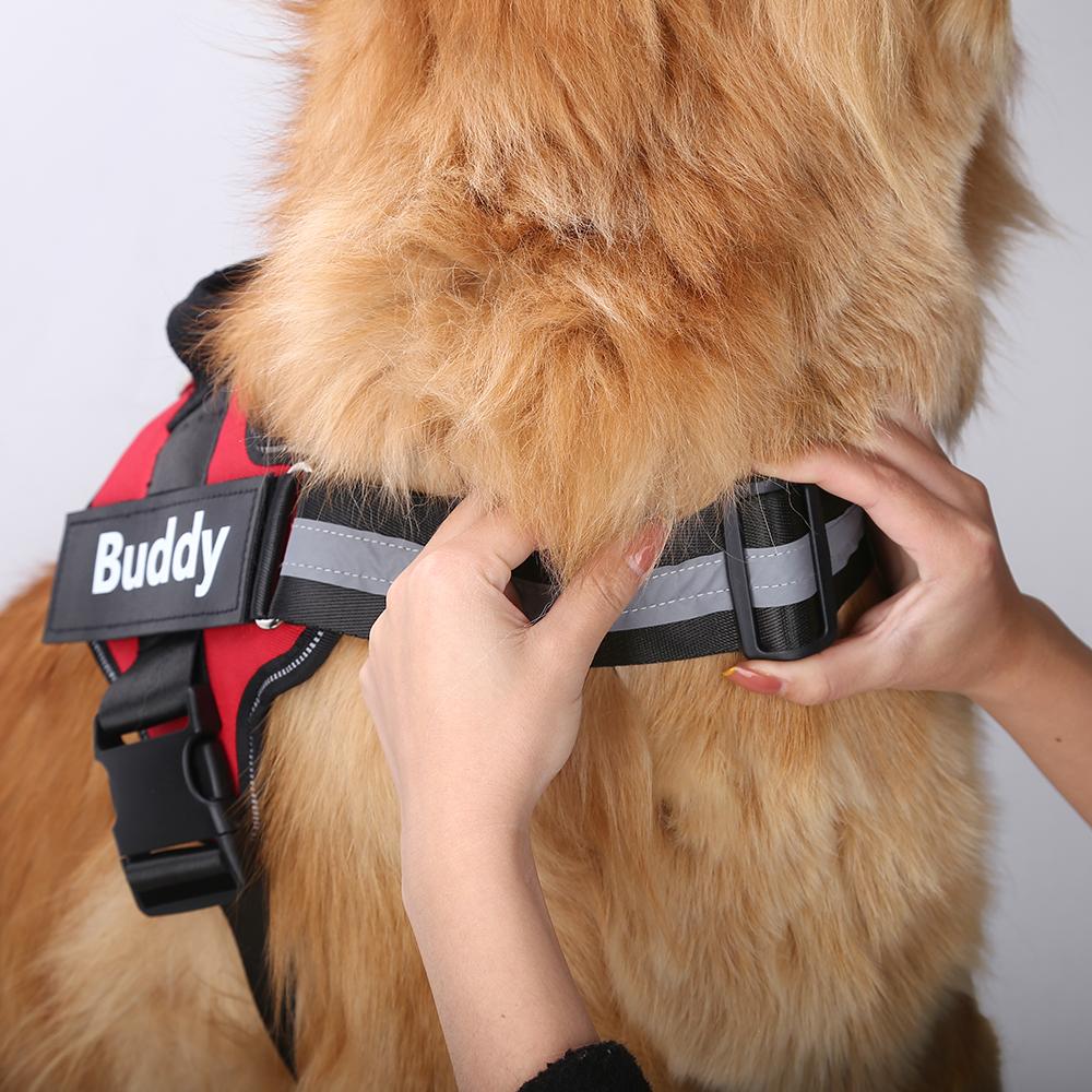 PETLAVISH™ Personalized No-Pull Dog Harness: Custom Name, Soft, Reflective, Breathable, Control Vest Dog Harness PETLAVISH™ 