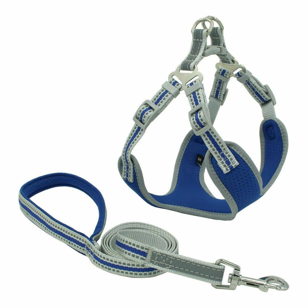 PETLAVISH™ Reflective No-Pull Dog Harness+Leash: Adjustable, Soft, Breathable Control Vest XS-Large Dog Harness PETLAVISH™ Blue XS 
