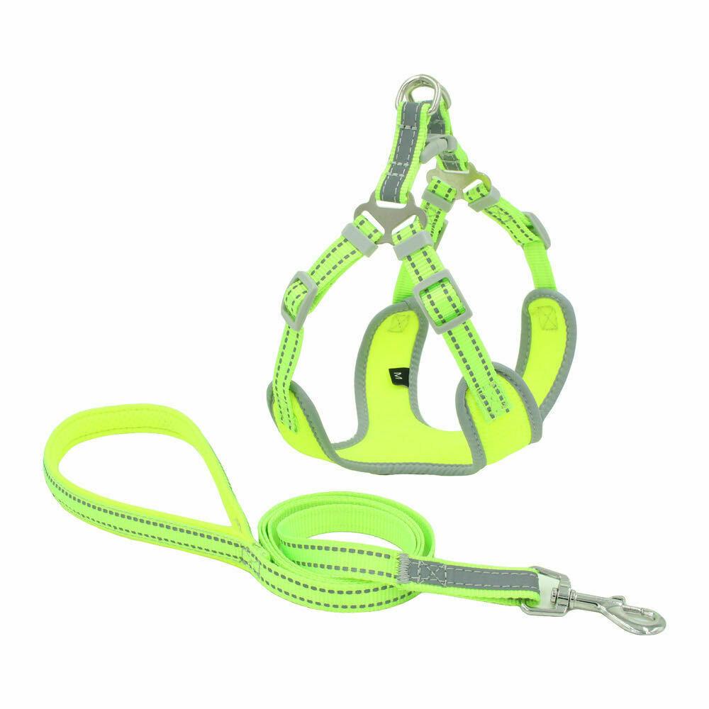 PETLAVISH™ Reflective No-Pull Dog Harness+Leash: Adjustable, Soft, Breathable Control Vest XS-Large Dog Harness PETLAVISH™ Neon Green XS 