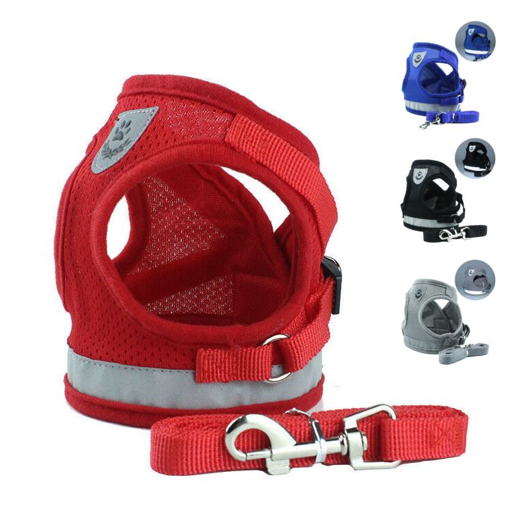 PETLAVISH™ Small Dog Adorable Harness + Leash: Breathable, Adjustable, Soft, Control Vest XXS-L Dog Harness PETLAVISH™ 