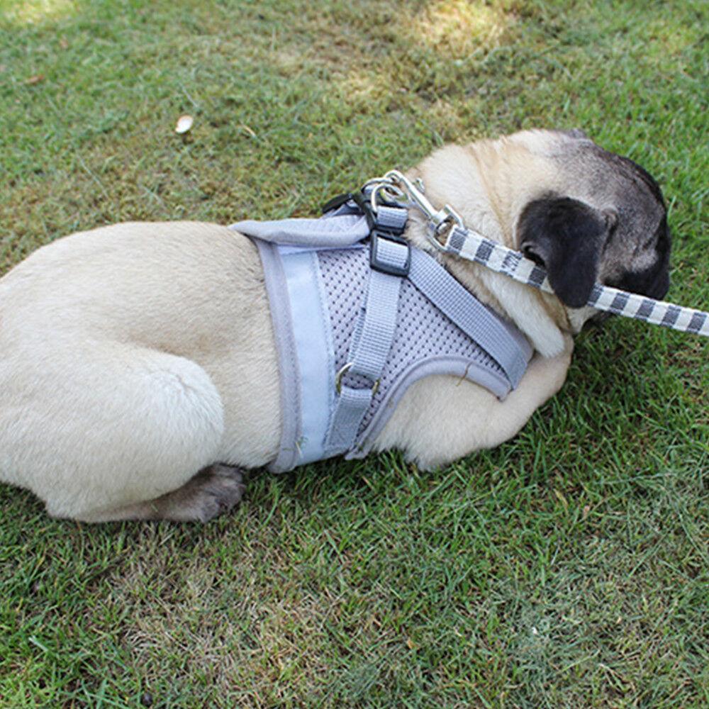 PETLAVISH™ Small Dog Adorable Harness + Leash: Breathable, Adjustable, Soft, Control Vest XXS-L Dog Harness PETLAVISH™ 