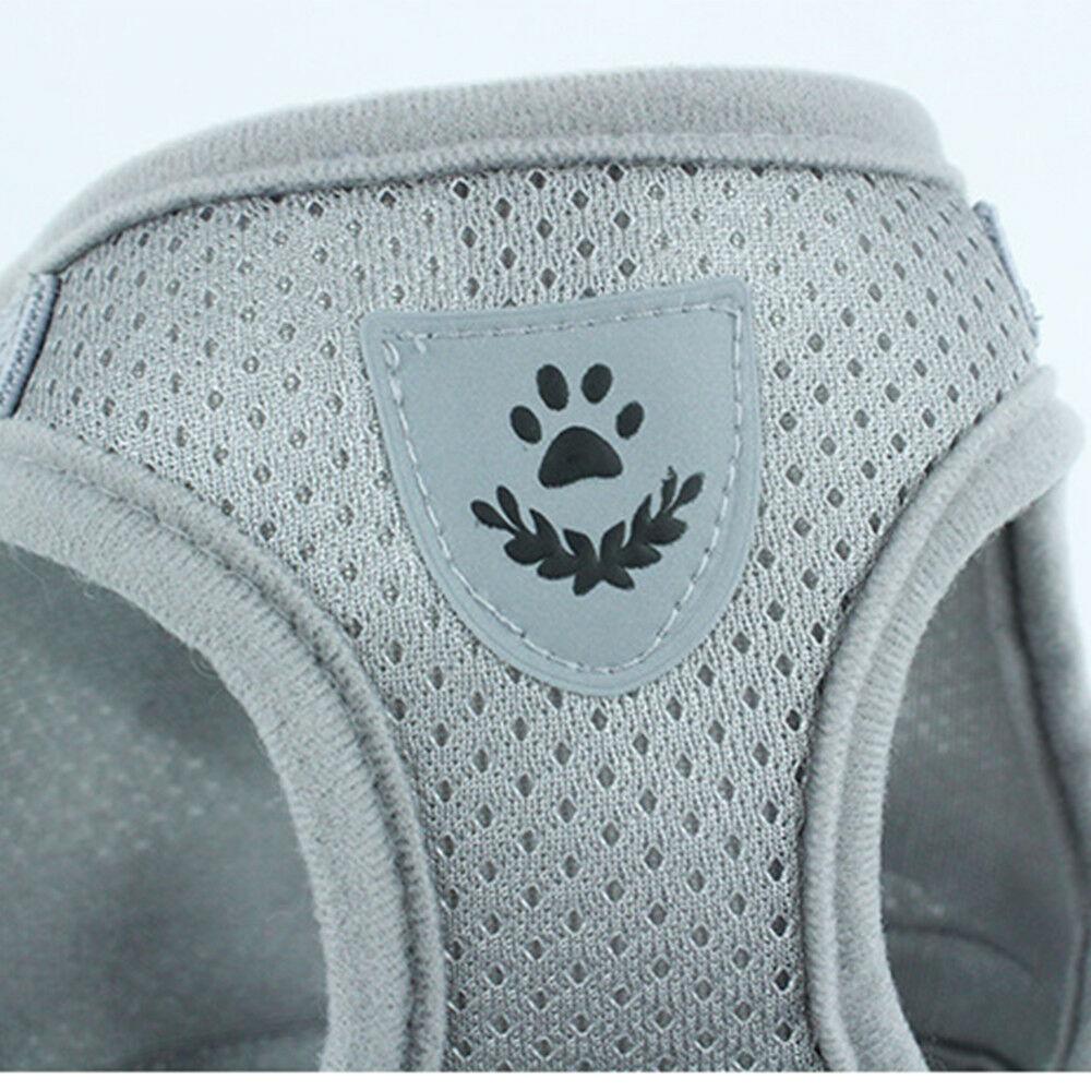 PETLAVISH™ Small Dog Adorable Harness + Leash: Breathable, Adjustable, Soft, Control Vest XXS-L Dog Harness PETLAVISH™ 