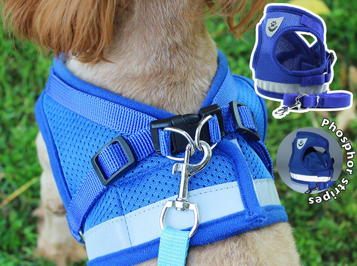 PETLAVISH™ Small Dog Adorable Harness + Leash: Breathable, Adjustable, Soft, Control Vest XXS-L Dog Harness PETLAVISH™ 