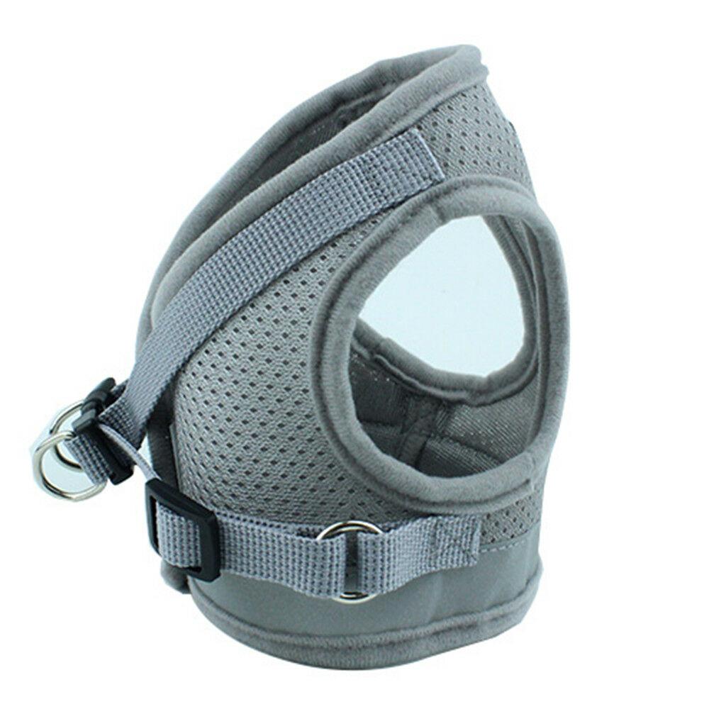 PETLAVISH™ Small Dog Adorable Harness + Leash: Breathable, Adjustable, Soft, Control Vest XXS-L Dog Harness PETLAVISH™ 