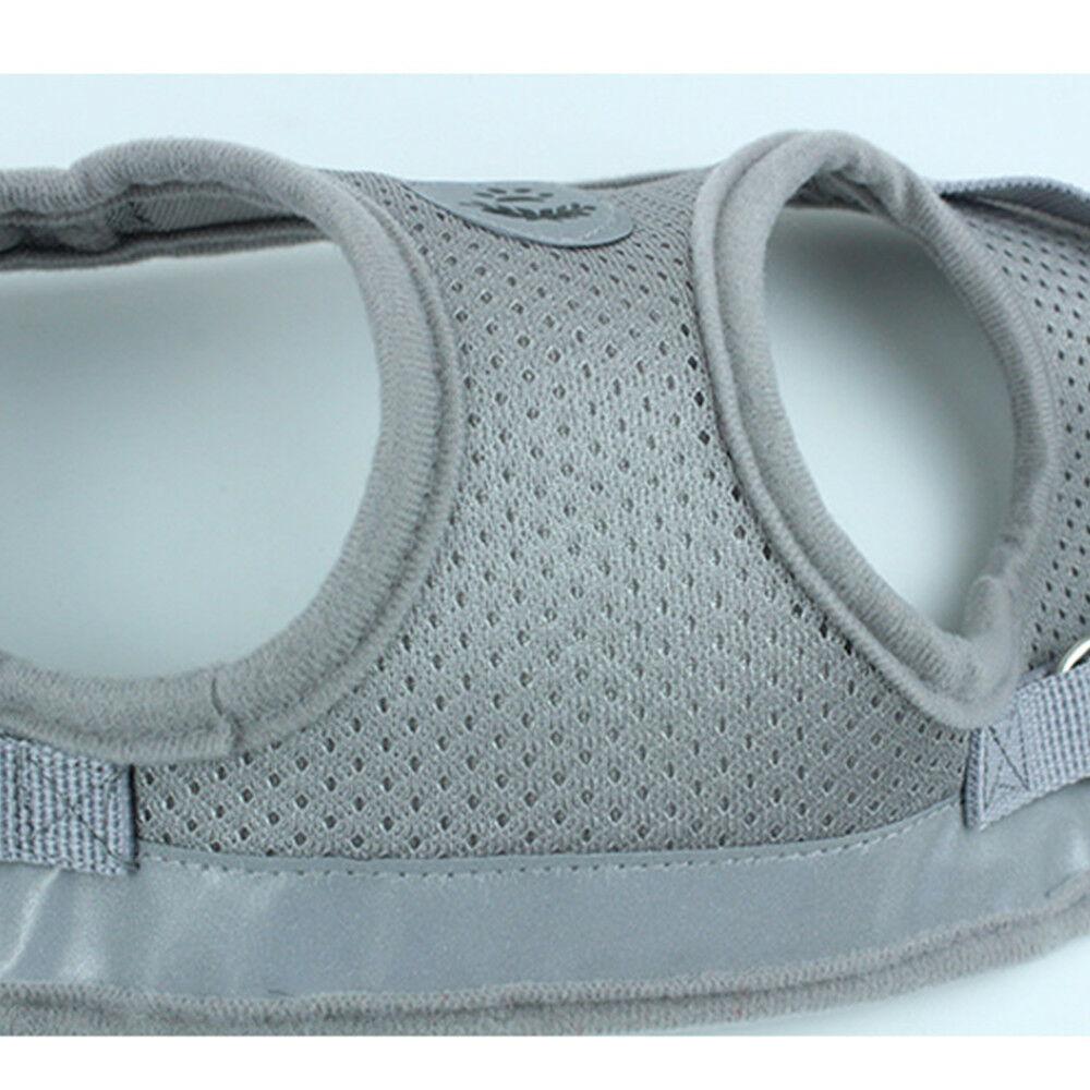 PETLAVISH™ Small Dog Adorable Harness + Leash: Breathable, Adjustable, Soft, Control Vest XXS-L Dog Harness PETLAVISH™ 