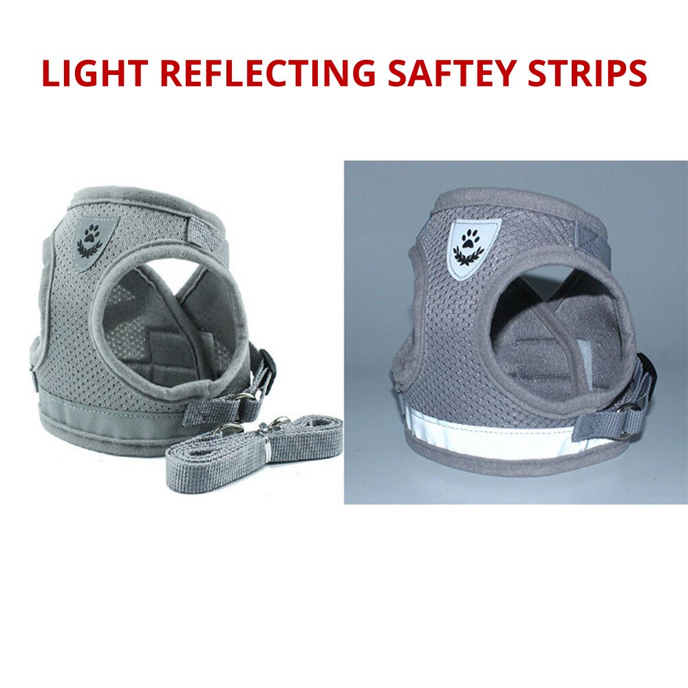 PETLAVISH™ Small Dog Adorable Harness + Leash: Breathable, Adjustable, Soft, Control Vest XXS-L Dog Harness PETLAVISH™ 