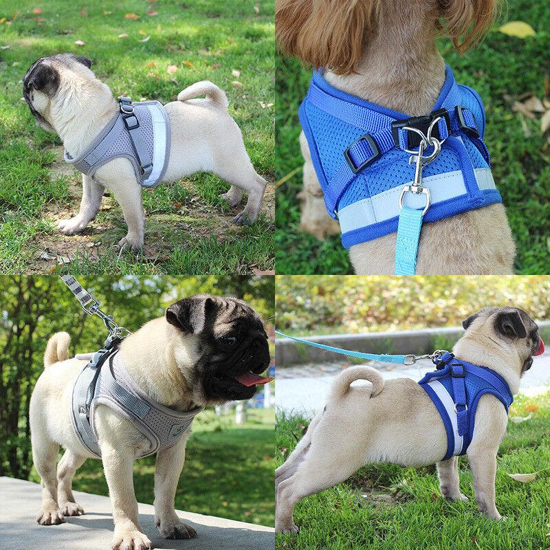 PETLAVISH™ Small Dog Adorable Harness + Leash: Breathable, Adjustable, Soft, Control Vest XXS-L Dog Harness PETLAVISH™ 