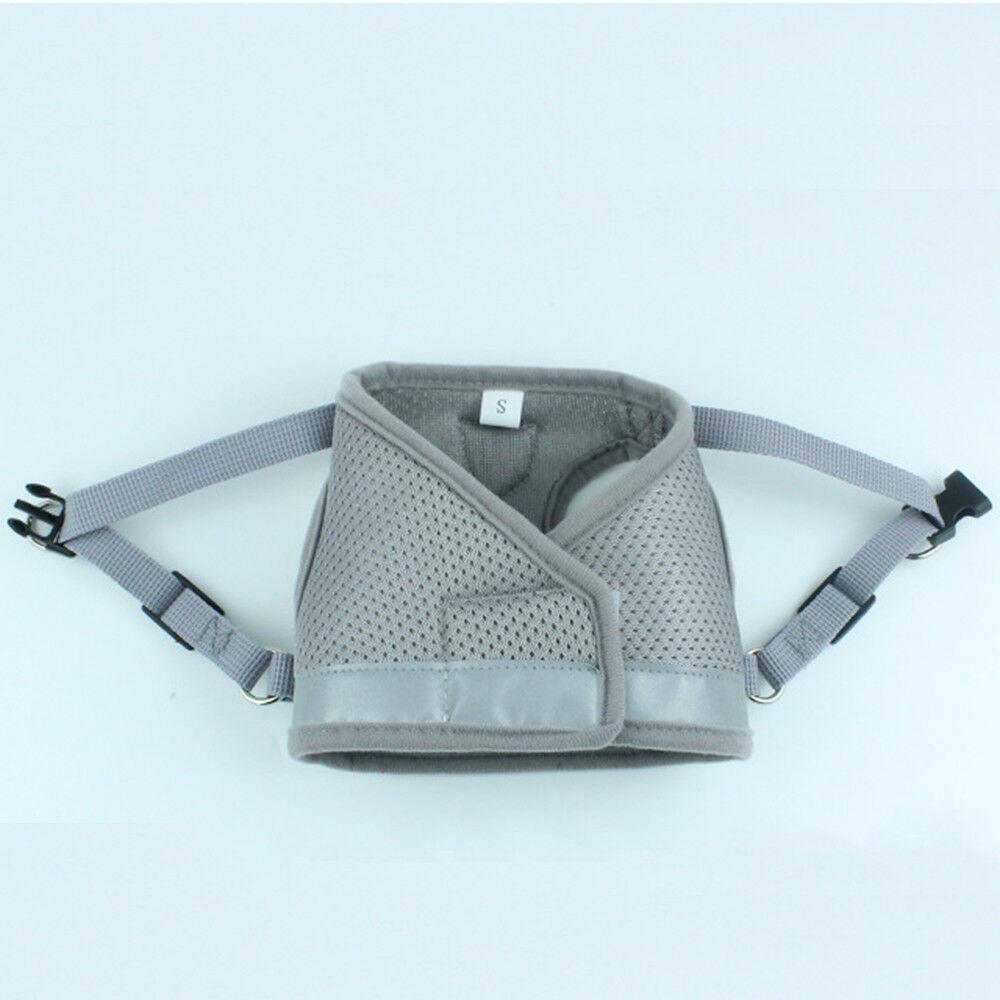 PETLAVISH™ Small Dog Adorable Harness + Leash: Breathable, Adjustable, Soft, Control Vest XXS-L Dog Harness PETLAVISH™ 