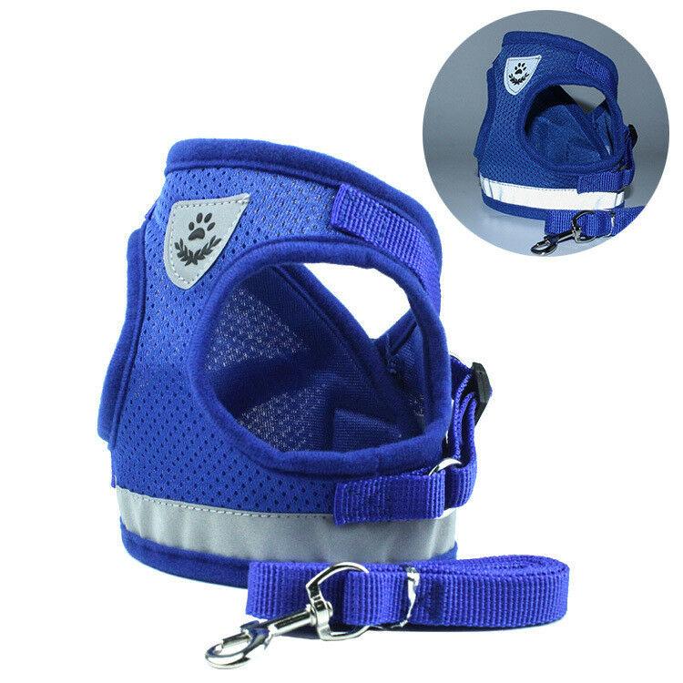 PETLAVISH™ Small Dog Adorable Harness + Leash: Breathable, Adjustable, Soft, Control Vest XXS-L Dog Harness PETLAVISH™ Blue XXS: chest 10.2&quot; 