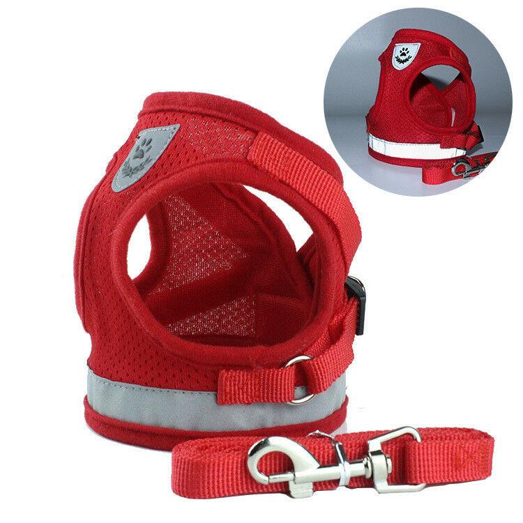 PETLAVISH™ Small Dog Adorable Harness + Leash: Breathable, Adjustable, Soft, Control Vest XXS-L Dog Harness PETLAVISH™ Red XXS: chest 10.2" 
