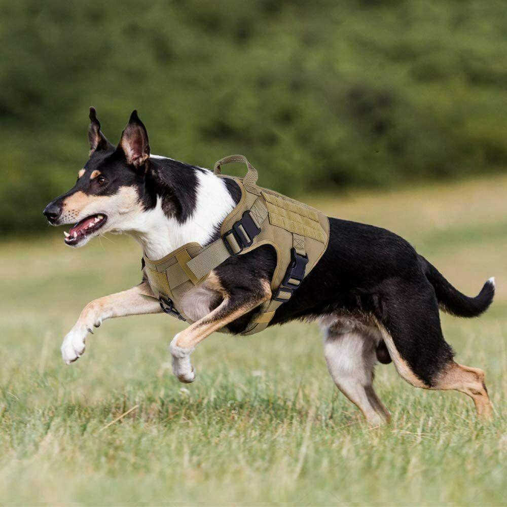 PETLAVISH™ Tactical Large Dog Harness w/ Handle: NO-PULL, Adjustable, Breathable Military Law Control Vest Dog Harness PETLAVISH™ 
