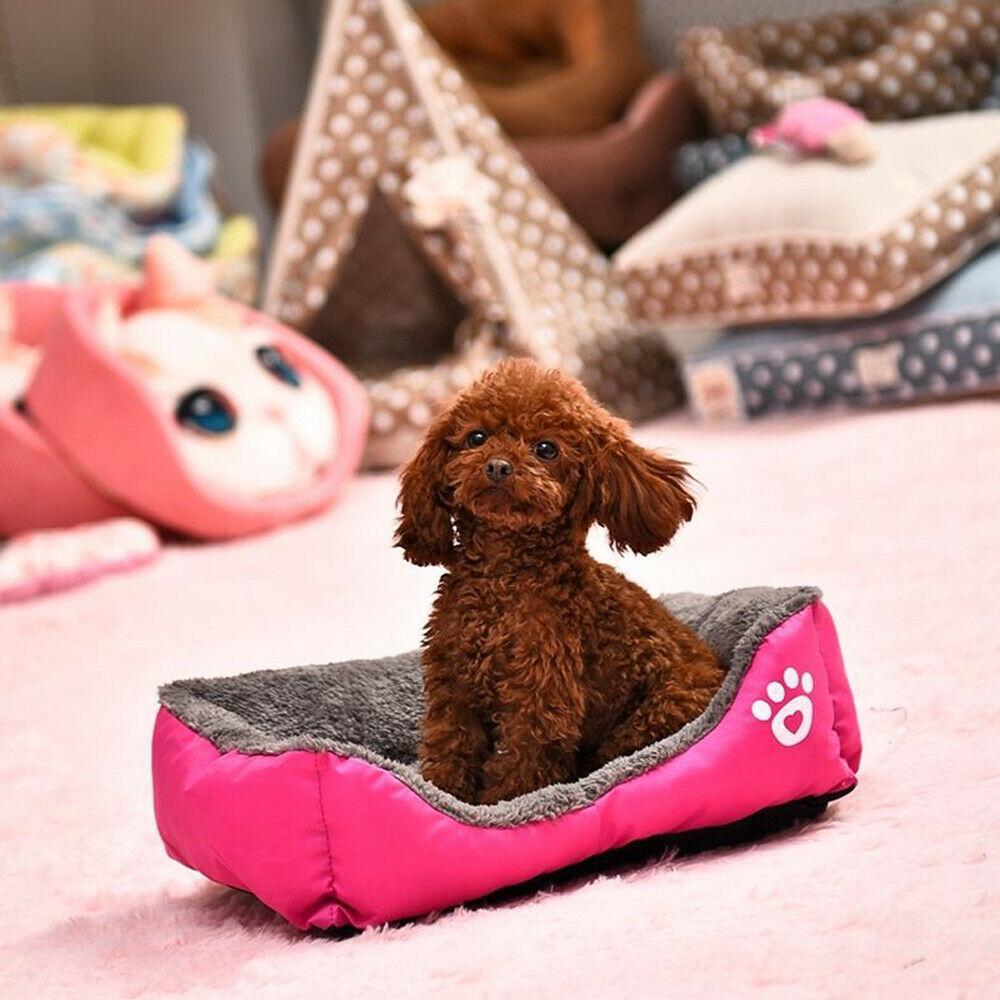 PETLAVISH™ UltraComfy Dog/Cat Breathable Bed: S-XXXL Cozy Fleece Cushion Paw Mat Kennel Pet Bed PETLAVISH™ Fashion 