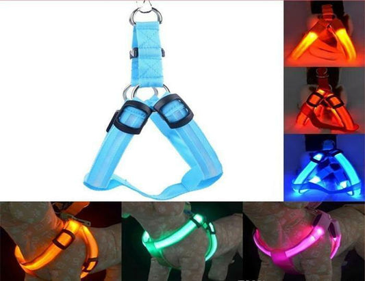 PETLAVISH™ Small Dog LED Glow USB Dog Harness: Adjustable, Safe Control Vest S-XL Dog Harness PETLAVISH™ 