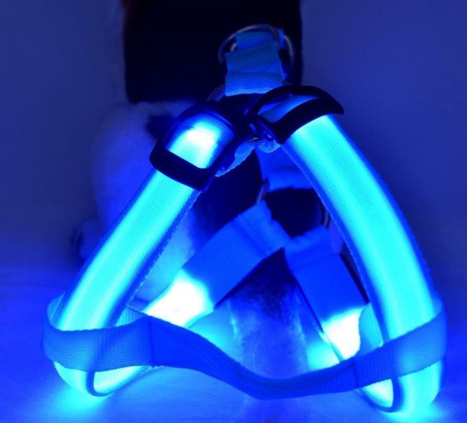 Chest led dog harness hotsell