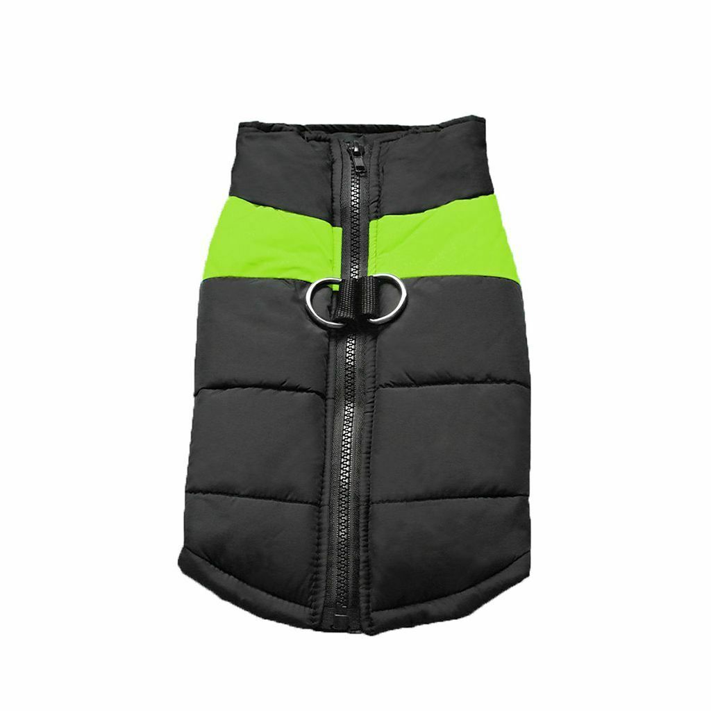 Warm vest 2024 for dogs