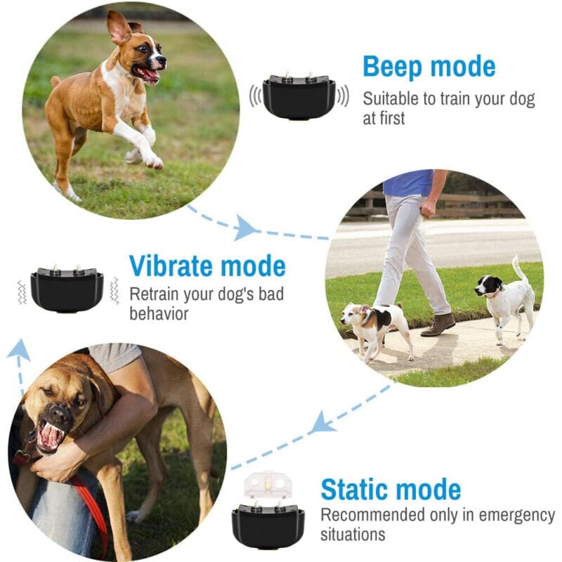 SMAXElite™ Remote Dog Shock Training Collar: 330Yds, Rechargeable, Waterproof LCD dog training collar SMAXElite™ 