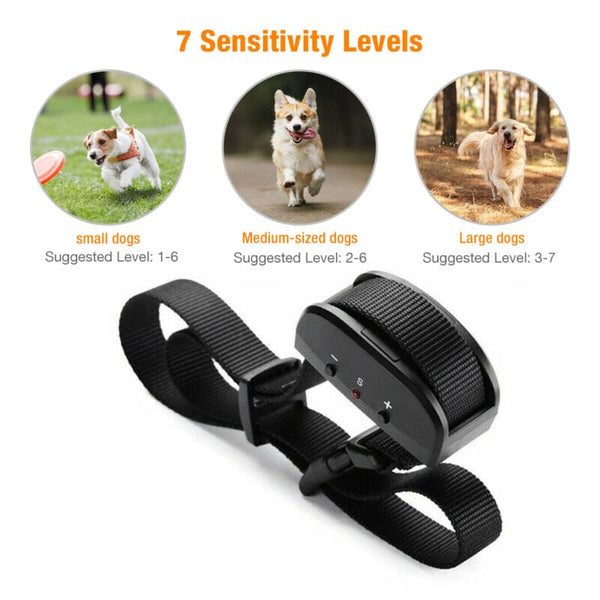 Shock collar for medium sized dog hotsell